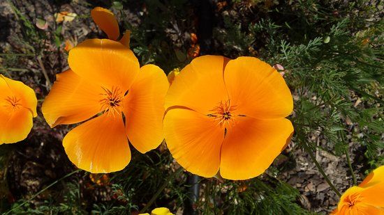 Jardin botanique Yves Rocher de La Gacilly