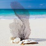 Bistrot Le Bouche a Oreille