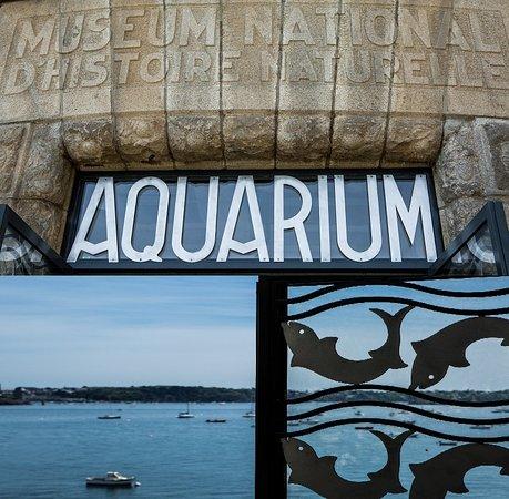 Aquarium Bar