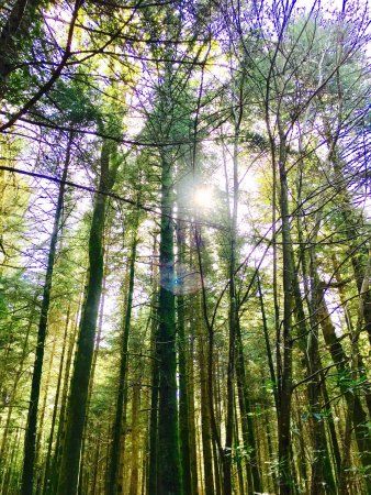 Domaine de Boutiguery