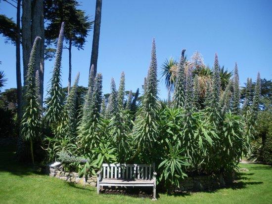 Jardins Georges Delaselle