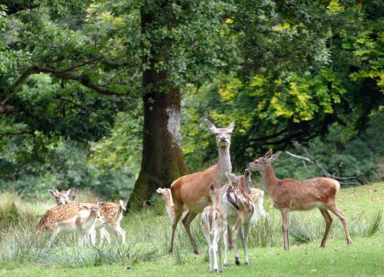Le Sterou Parc Naturel