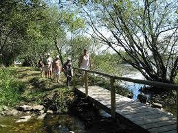 Étang de Poulguidou