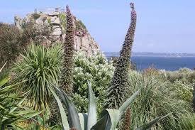 Le Jardin Exotique de Roscoff