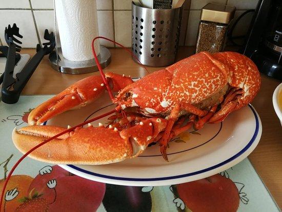 Les Viviers de Bassinic