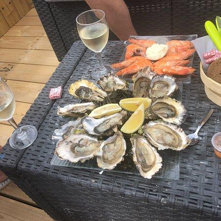 Les Viviers de Loc'ker