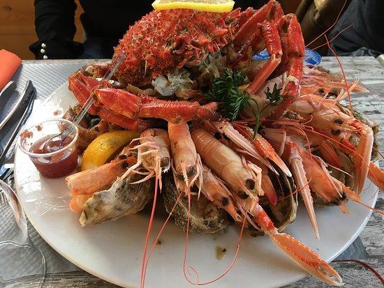 Les Viviers de St Marc