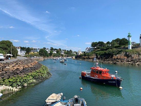 La cabane de la mouette