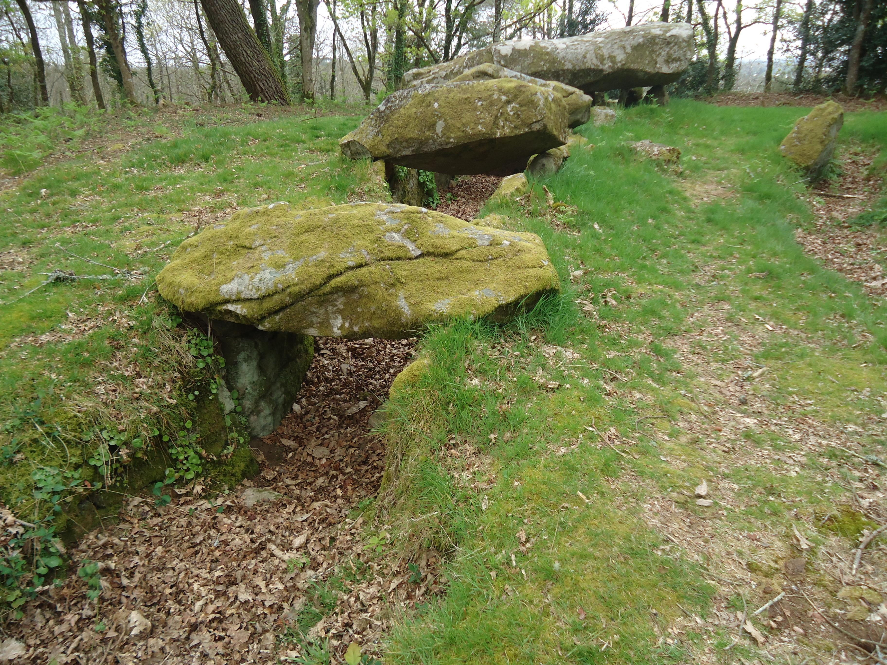 allée couverte de Mané-Bras