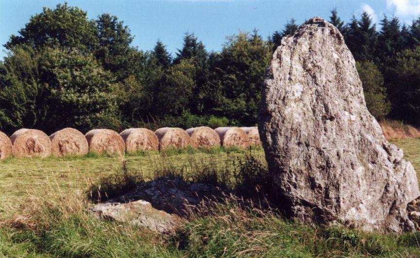 menhir de Roquinarc'h