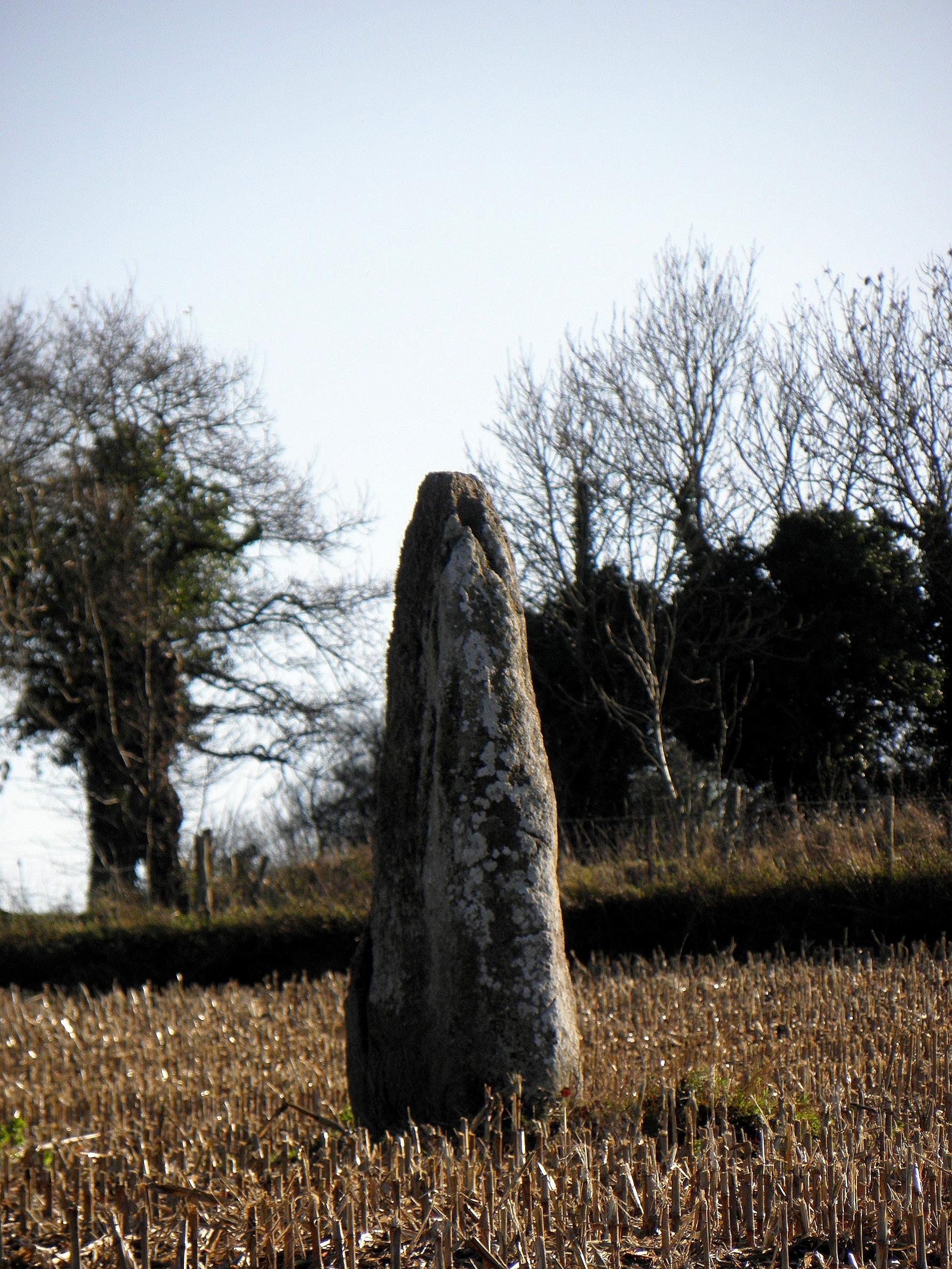 menhir dit La Roche Longue