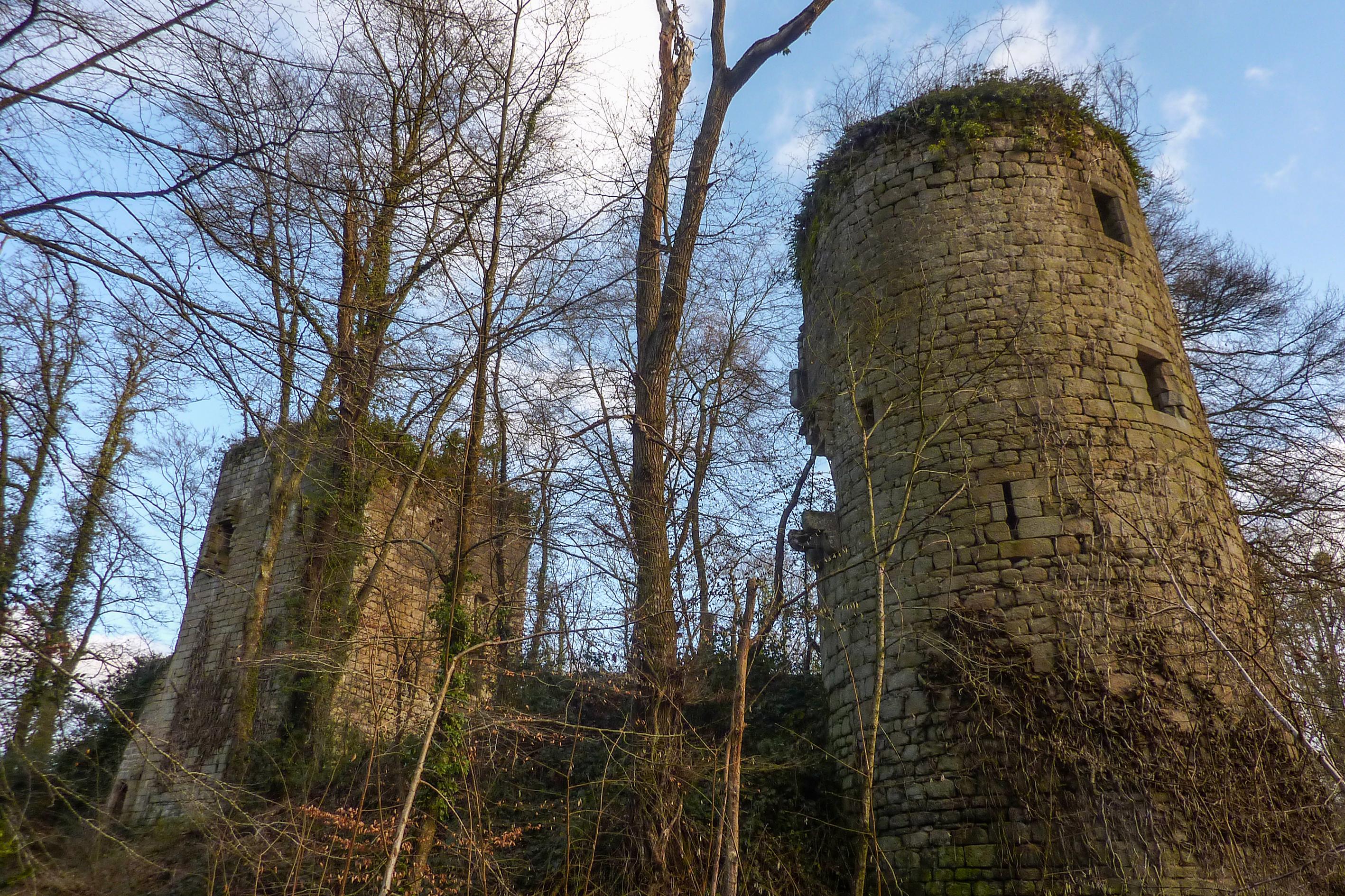 château de la Roche-Montbourcher