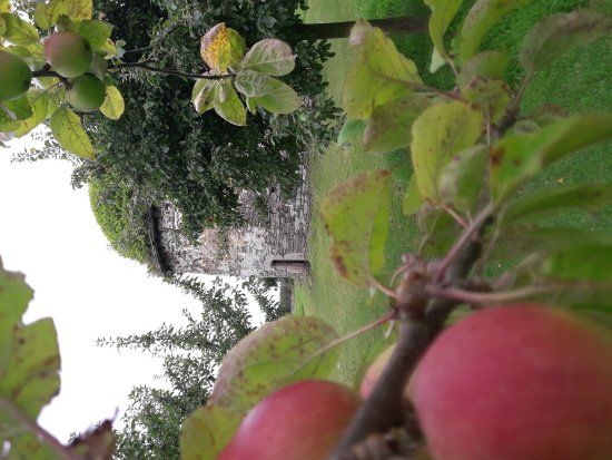 Domaine de Kerveguen