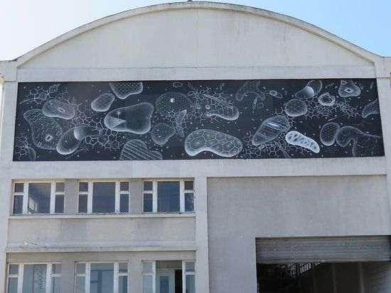 Fresque "Le plancton"