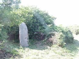 Site naturel protégé de Bringuiller