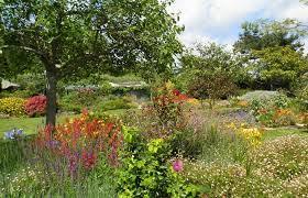 Jardin Eden du Voyageur