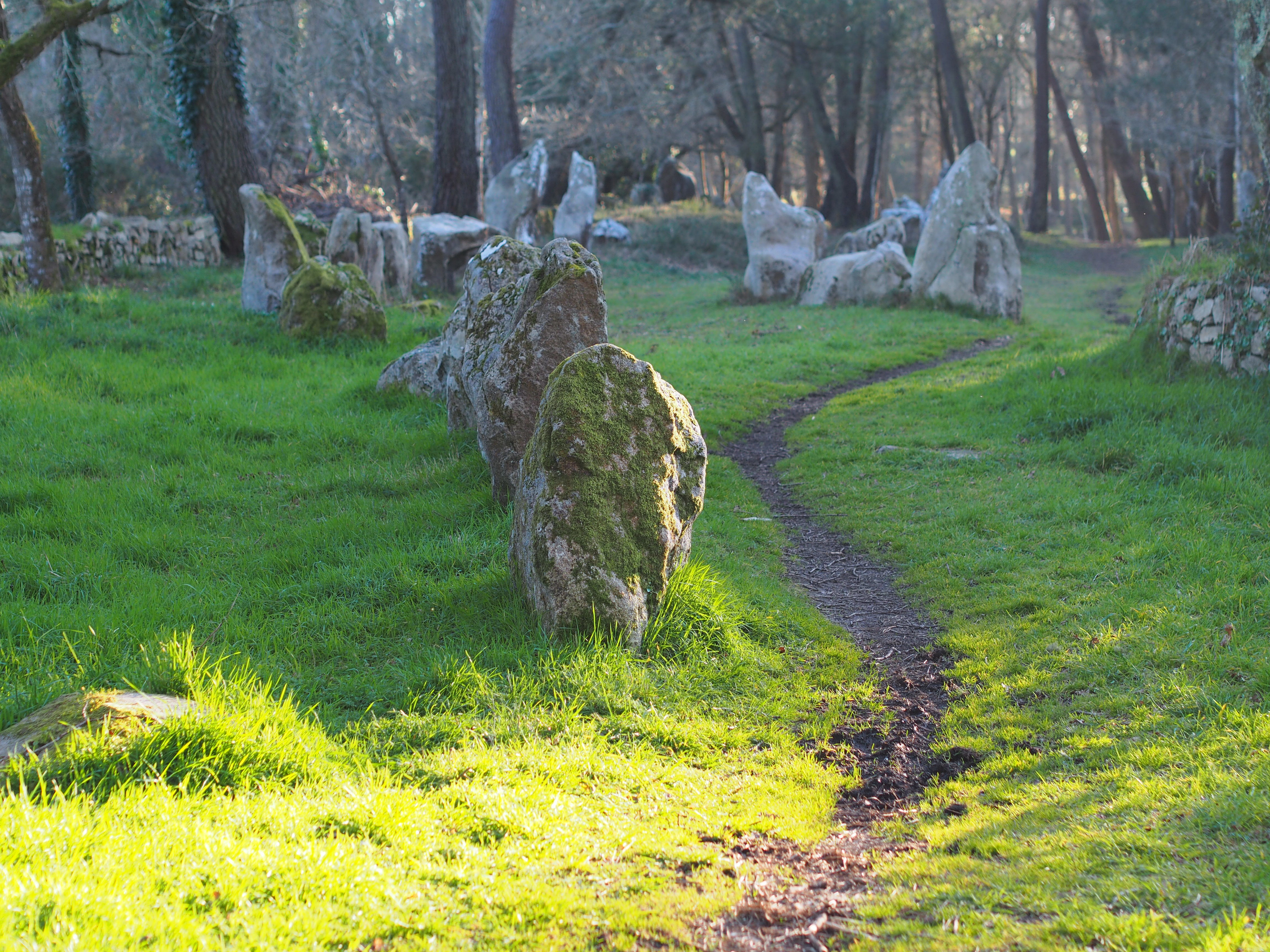 Alignements du Petit-Ménec