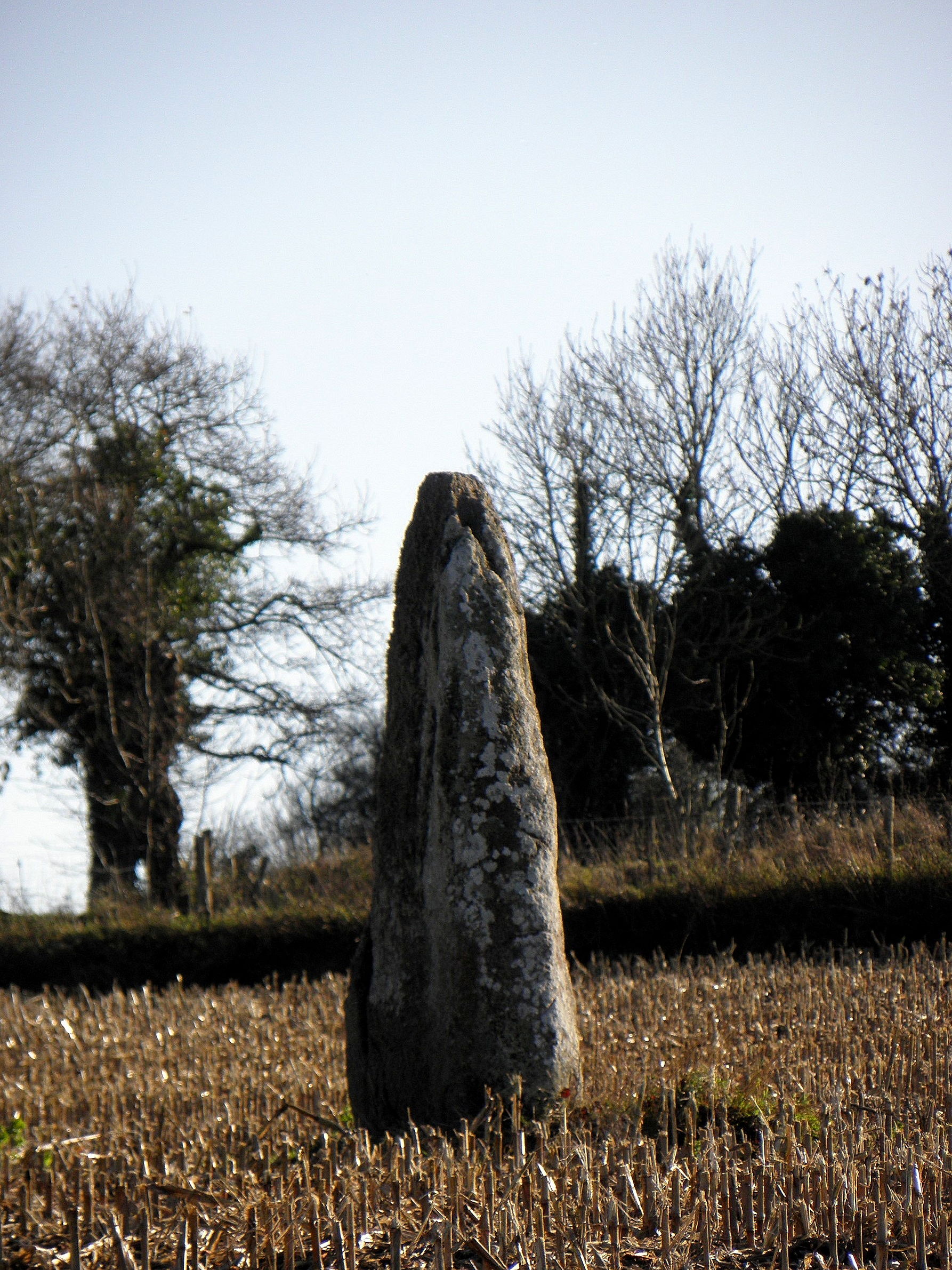 menhir dit La Roche Longue