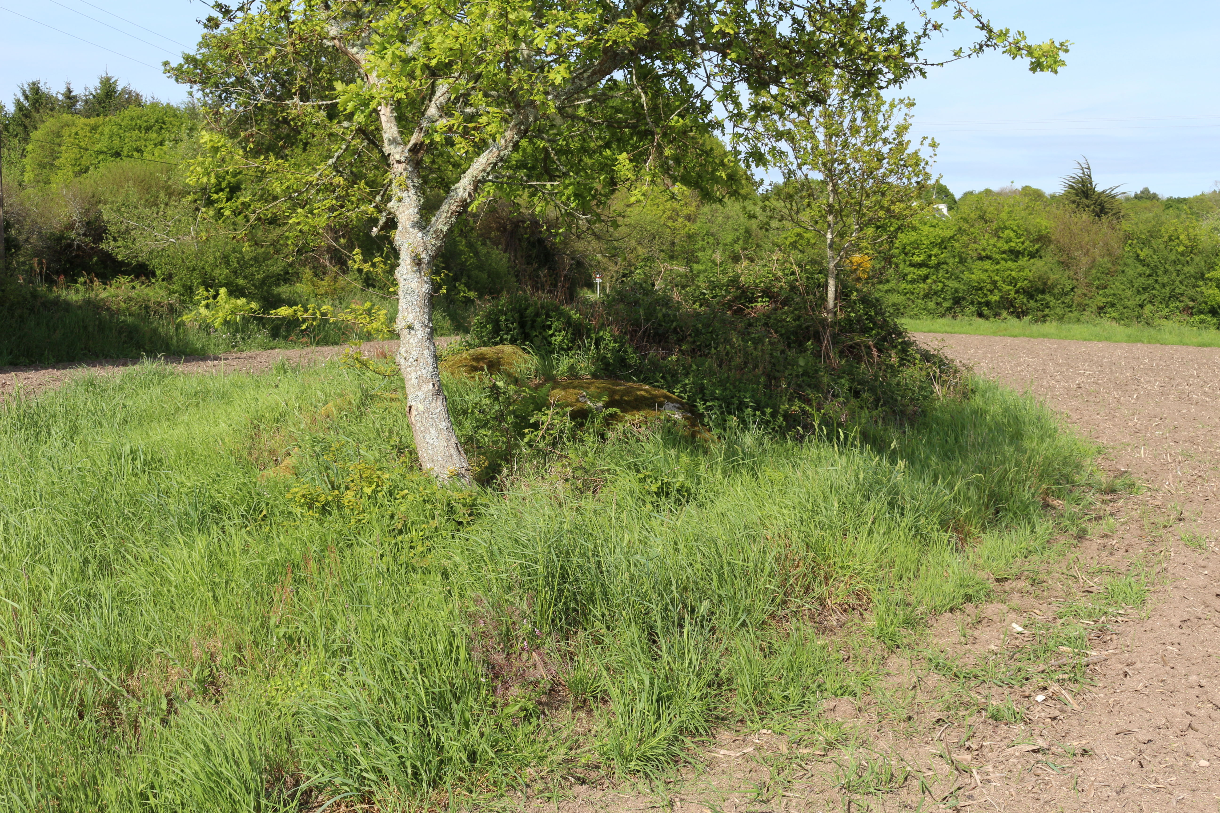dolmen de Kermadoué