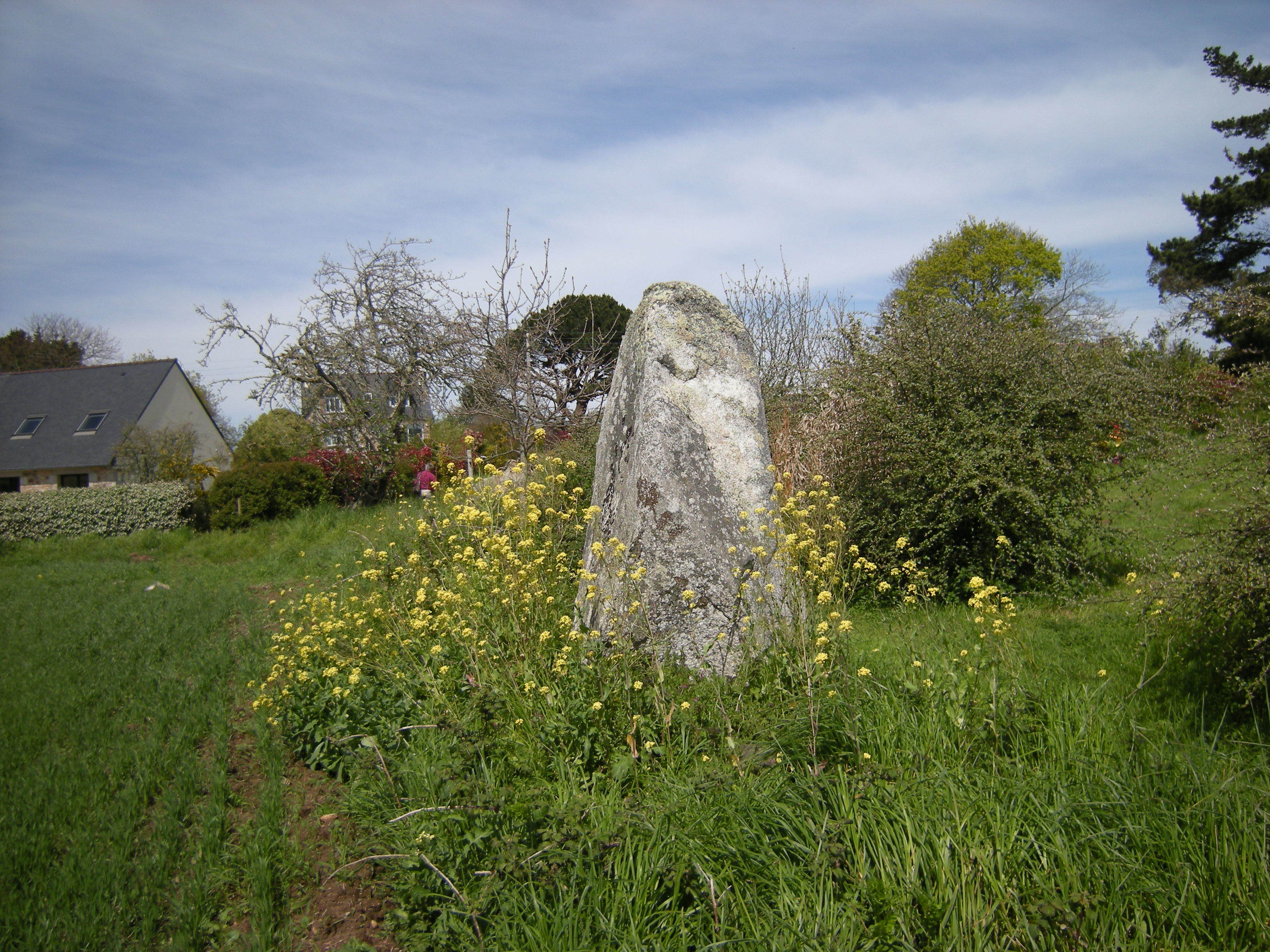 menhir de Kervéniou