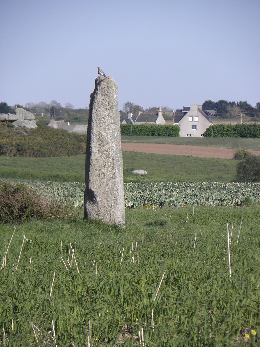 menhir d'Irvit