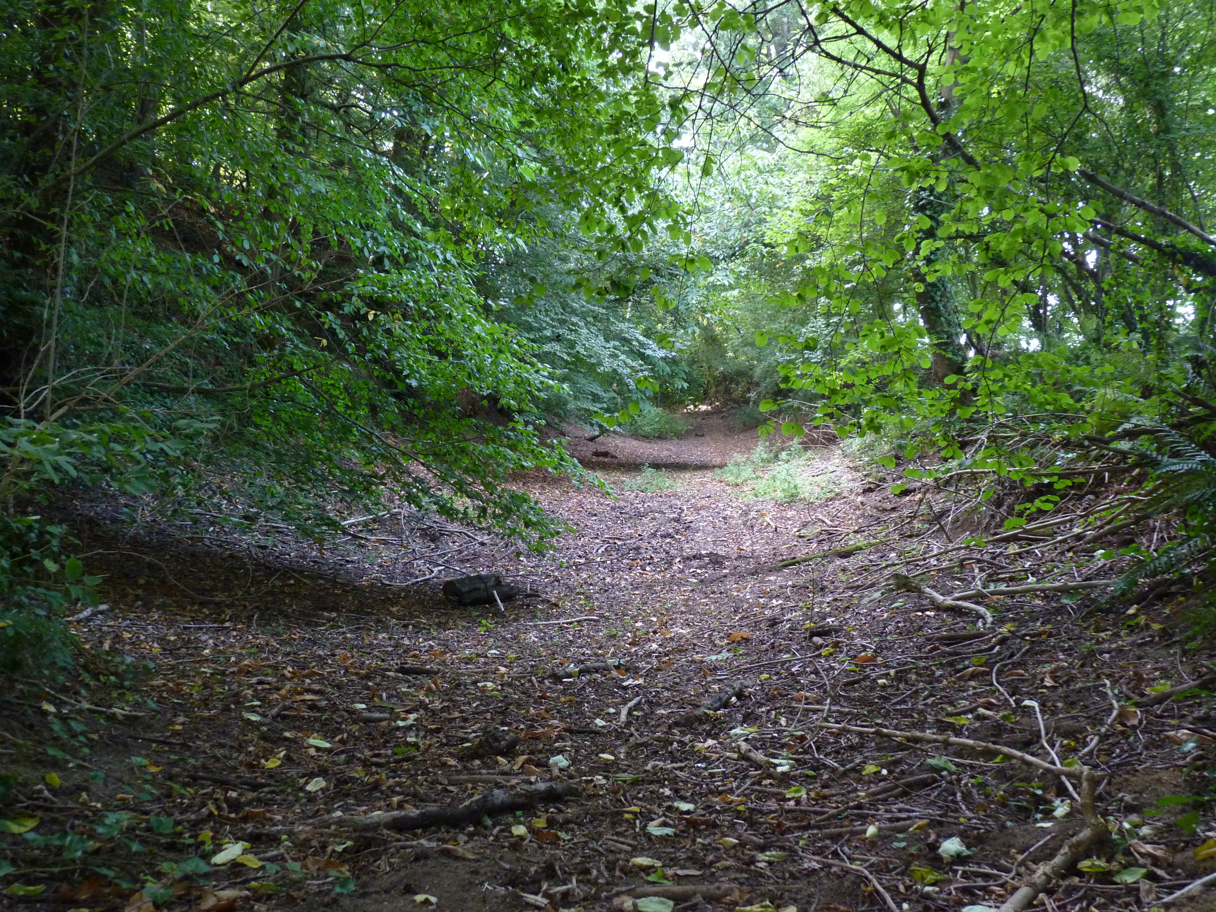 vestiges du camp antique du Castel Dû