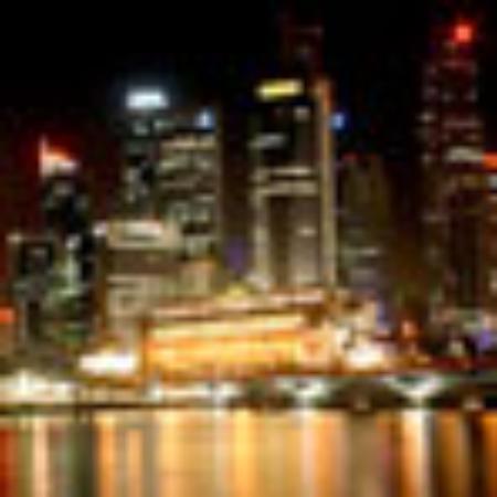 Restaurant Bar Les Fauves