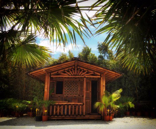 Jardin exotique de Saint Renan